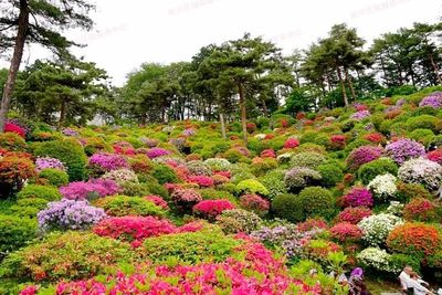 七月南川新景 蔬菜種植新去處，休閑農業新體驗